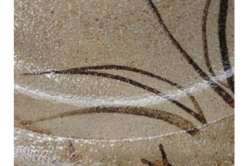 中里重利　絵唐津　約22cm　7.3寸　優美なフォルムが目を引く鉢(唐津焼、鳥、植物、深皿、和皿、中皿、変形皿、和食器、裏印、共箱付き、七寸三分)(R-079817)