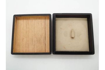 時代武具　鉄地　木瓜形　蟷螂の斧　独創的なデザインに惹かれる大鍔(カマキリ、車輪、彫刻、刀装具、ケース付き)(R-079844)