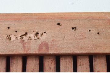 アンティーク建具　北陸産　総欅(ケヤキ)材　金具が立派な格子蔵戸1枚(格子戸、引き戸、玄関戸)(R-079858)