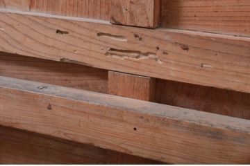 アンティーク建具　北陸産　総欅(ケヤキ)材　金具が立派な格子蔵戸1枚(格子戸、引き戸、玄関戸)(R-079858)
