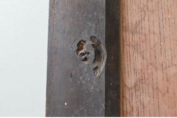 アンティーク建具　大振り!!　欅(ケヤキ)材　味わい深い木の風合いが魅力的な蔵戸1枚(引き戸、玄関戸)(R-079862)
