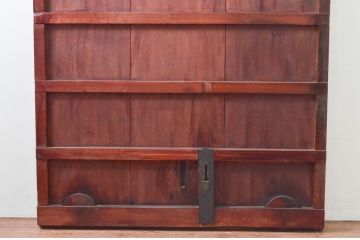アンティーク建具　欅(ケヤキ)材　味わい深い木の風合いが魅力的な蔵戸1枚(引き戸、玄関戸)(R-079870)