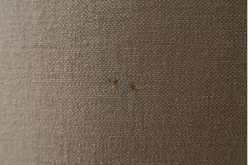 フランスアンティーク　ペイント　丸いフォルムと淡いカラーが可愛らしい1Pソファ2脚セット(一人掛け、サロンチェア、ラウンジチェア、椅子、イス、バラ売り可能)(R-079940)