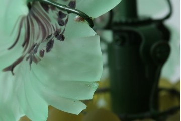 中古　美品!!　イタリア　トーソー社(TOSO CESARE)　ムラーノガラス(MURANO)　ブドウ(葡萄、ぶどう)　1灯　空間のアクセントになるテーブルスタンド　(R-079964)