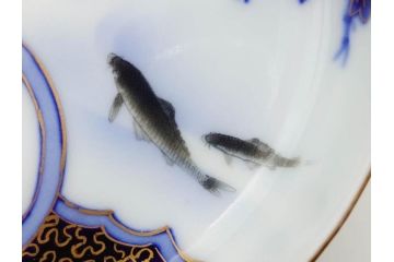 戦前　深川製磁　オールド深川　有田焼　染付　色絵　金彩　鯉　約10cm　3.3寸　艶やかな色付が美しい小皿3枚セット(魚、紅葉、桐、藤の花、桜、豆皿、和皿、和食器、三寸三分)(R-080078)