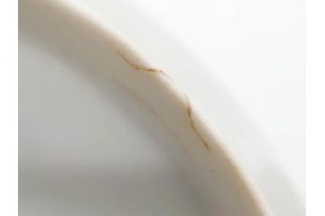 戦前　オールド香蘭社　有田焼　染付　松　気品を感じる湯呑み5客セット(松の実、松ぼっくり、湯のみ、茶器、煎茶、蓋物、蓋付き、金彩、裏印、共箱付き)(R-080084)