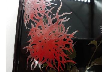 黒江漆器　木製　木皿　菊模様　花のデザインが目を引く小盆5枚セット(漆器、お盆、トレイ、トレー、銘々盆、共箱付き)(R-080093)
