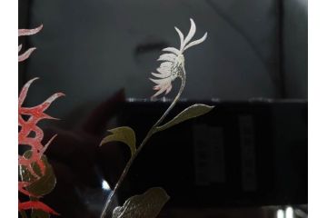 黒江漆器　木製　木皿　菊模様　花のデザインが目を引く小盆5枚セット(漆器、お盆、トレイ、トレー、銘々盆、共箱付き)(R-080093)