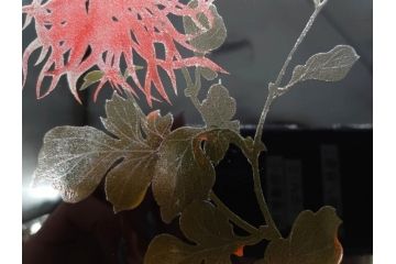 黒江漆器　木製　木皿　菊模様　花のデザインが目を引く小盆5枚セット(漆器、お盆、トレイ、トレー、銘々盆、共箱付き)(R-080093)