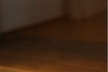 中古　美品　軽井沢彫り　隅々まで施された桜の彫りが美しい収納棚(本棚、キャビネット、サイドキャビネット、食器棚、飾り棚、戸棚)(R-080288)