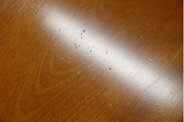 中古　横浜クラシック家具　ダニエル(daniel)　収納棚付き!　クラシカルな佇まいが魅力的な低めサイズのダイニングテーブル(4人掛けダイニングテーブル、収納棚、戸棚)(定価約40万円)(R-080375)