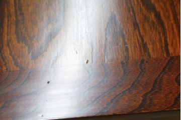 中古　美品　李朝　作りの良い真鍮(しんちゅう)金具が魅力的なキャビネット(サイドキャビネット、サイドテーブル、箪笥、収納棚、戸棚)(R-080379)