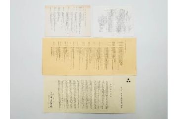 十三代 中里太郎右衛門　絵唐津　平向付　約14cm　4.6寸/黄唐津　割山椒向付　約12cm　4寸　落ち着いた味わい深い向付11客セット(花、深皿、深鉢、和皿、和食器、共箱付き、四寸六分、四寸)(R-080398)