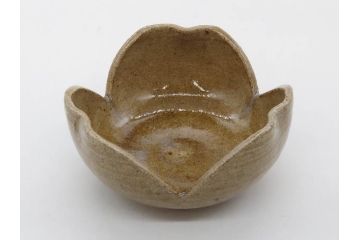 十三代 中里太郎右衛門　絵唐津　平向付　約14cm　4.6寸/黄唐津　割山椒向付　約12cm　4寸　落ち着いた味わい深い向付11客セット(花、深皿、深鉢、和皿、和食器、共箱付き、四寸六分、四寸)(R-080398)