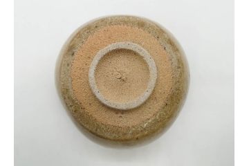 十三代 中里太郎右衛門　絵唐津　平向付　約14cm　4.6寸/黄唐津　割山椒向付　約12cm　4寸　落ち着いた味わい深い向付11客セット(花、深皿、深鉢、和皿、和食器、共箱付き、四寸六分、四寸)(R-080398)