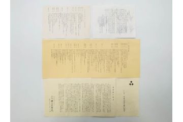 十三代 中里太郎右衛門　絵唐津　平向付　約14cm　4.6寸/黄唐津　割山椒向付　約12cm　4寸　落ち着いた味わい深い向付11客セット(花、深皿、深鉢、和皿、和食器、共箱付き、四寸六分、四寸)(R-080398)