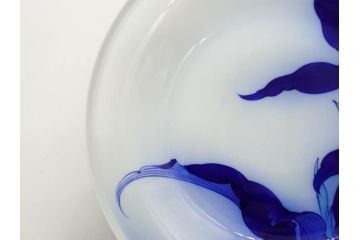 戦前　オールド香蘭社　有田焼　染錦　万年青　(大)約25cm　8寸/(小)約14cm　4.5寸　お料理を引き立ててくれる大皿&小皿5枚セット(おもと、オモト、植物、和皿、和食器、裏印、八寸、四寸五分)(R-080403)