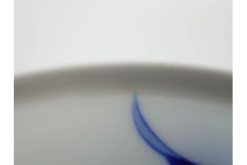 戦前　オールド香蘭社　有田焼　染錦　万年青　(大)約25cm　8寸/(小)約14cm　4.5寸　お料理を引き立ててくれる大皿&小皿5枚セット(おもと、オモト、植物、和皿、和食器、裏印、八寸、四寸五分)(R-080403)