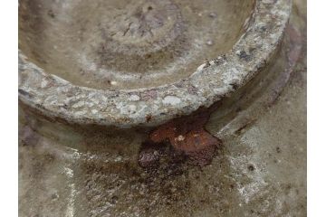 小林東五　對州窯　刷毛目(はけめ)　約20cm　6.6寸　土の温かみを感じる平皿(深皿、和皿、和食器、六寸六分、共箱付き)(R-080407)
