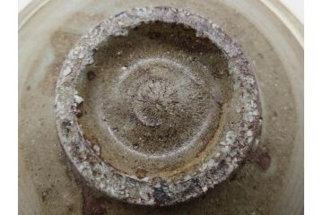 小林東五　對州窯　刷毛目(はけめ)　約20cm　6.6寸　土の温かみを感じる平皿(深皿、和皿、和食器、六寸六分、共箱付き)(R-080407)