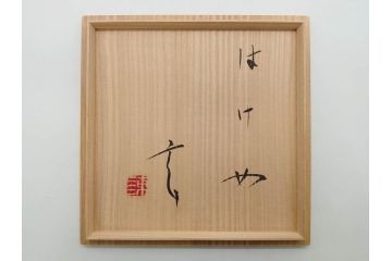 小林東五　對州窯　刷毛目(はけめ)　約20cm　6.6寸　土の温かみを感じる平皿(深皿、和皿、和食器、六寸六分、共箱付き)(R-080407)