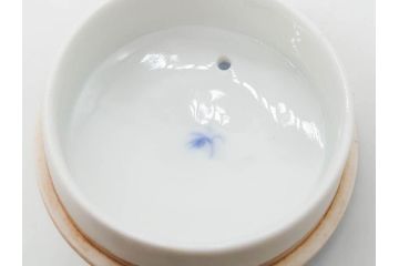 戦前　オールド香蘭社　有田焼　染付　金彩　松　落ち着いた佇まいの急須(松の実、水注、水差、水指、茶器、茶道具、煎茶道具、和食器、裏印)(R-080411)