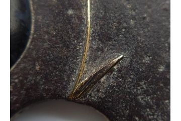 時代武具　鉄地　金銀象嵌　透かし　鳥　茸　独創的なデザインが魅力の鍔(きのこ、キノコ、金彩、風景、彫刻、刀装具、ケース付き)(R-080542)