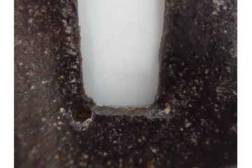 時代武具　鉄地　金銀象嵌　透かし　鳥　茸　独創的なデザインが魅力の鍔(きのこ、キノコ、金彩、風景、彫刻、刀装具、ケース付き)(R-080542)