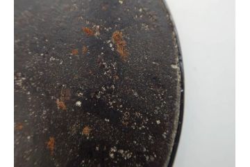 時代武具　鉄地　金銀象嵌　透かし　鳥　茸　独創的なデザインが魅力の鍔(きのこ、キノコ、金彩、風景、彫刻、刀装具、ケース付き)(R-080542)