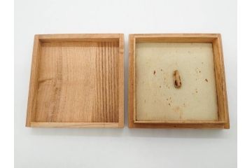 時代武具　鉄地　金銀象嵌　透かし　鳥　茸　独創的なデザインが魅力の鍔(きのこ、キノコ、金彩、風景、彫刻、刀装具、ケース付き)(R-080542)