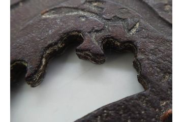 時代武具　在銘　鉄地　丸形　龍の図　鉄の力強さを感じる鍔(竜、彫刻、刀装具、ケース付き)(R-080543)