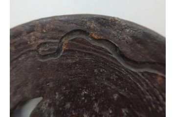 時代武具　在銘　鉄地　丸形　龍の図　鉄の力強さを感じる鍔(竜、彫刻、刀装具、ケース付き)(R-080543)