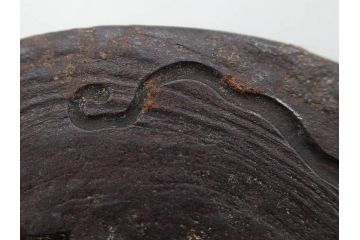 時代武具　在銘　鉄地　丸形　龍の図　鉄の力強さを感じる鍔(竜、彫刻、刀装具、ケース付き)(R-080543)