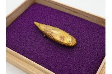 彫金家　信田洋　「竹の子」　Silver(シルバー)　春の息吹を感じさせる帯留(タケノコ、銀、台座、帯留め、着物道具、和装小物、アクセサリー共箱付き)(R-080551)