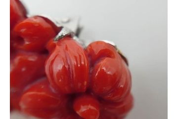 時代物　赤珊瑚　彫刻　色鮮やかな帯留(花、サンゴ、帯留め、着物道具、和装小物、アクセサリー、ブローチ)(R-080552)