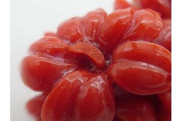 時代物　赤珊瑚　彫刻　色鮮やかな帯留(花、サンゴ、帯留め、着物道具、和装小物、アクセサリー、ブローチ)(R-080552)