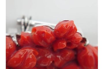 時代物　赤珊瑚　彫刻　色鮮やかな帯留(花、サンゴ、帯留め、着物道具、和装小物、アクセサリー、ブローチ)(R-080552)