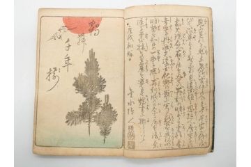 浮世絵師 歌川広重 絵本江戸土産 初編・5編/鶏鳴舎暁晴編 浪華の賑ひ 三篇　和本3冊セット(地誌、書籍、和書、古書、版画)(R-080557)