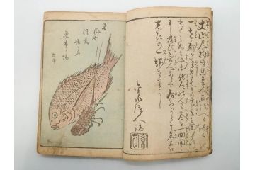 浮世絵師 歌川広重 絵本江戸土産 初編・5編/鶏鳴舎暁晴編 浪華の賑ひ 三篇　和本3冊セット(地誌、書籍、和書、古書、版画)(R-080557)