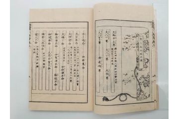 親鸞聖人御一代記図絵　全5冊揃　和本5冊セット(古書、和書、書籍、古本)(R-080560)