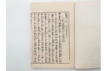 親鸞聖人御一代記図絵　全5冊揃　和本5冊セット(古書、和書、書籍、古本)(R-080560)