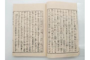 親鸞聖人御一代記図絵　全5冊揃　和本5冊セット(古書、和書、書籍、古本)(R-080560)