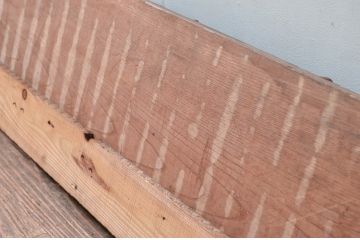 アンティーク建具　特大!　幅256cm　総欅(ケヤキ)材　躍動感ある牡丹(ボタン)の図柄が素敵な彫刻欄間(明り取り、明かり取り)(R-080599)