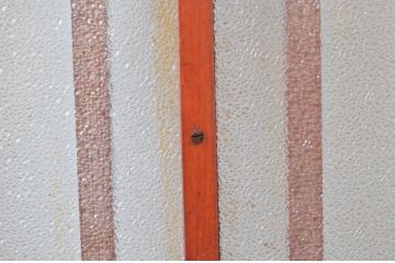 アンティーク建具　ダイヤガラス入り　木の温もり感じられるガラス戸3枚セット(引き戸、建具)(R-080648)