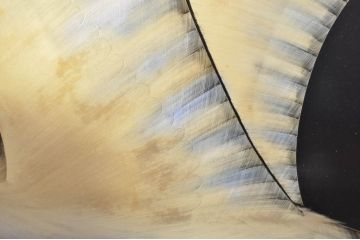 和風ビンテージ　輪島塗り　漆絵　迫力のある鶴の絵柄が目を惹く折り畳み衝立(衝立て、つい立て、衝い立て、パーテーション、仕切り、ヴィンテージ)(定価約180万円)(R-080688)
