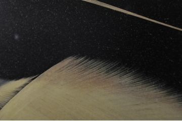 和風ビンテージ　輪島塗り　漆絵　迫力のある鶴の絵柄が目を惹く折り畳み衝立(衝立て、つい立て、衝い立て、パーテーション、仕切り、ヴィンテージ)(定価約180万円)(R-080688)