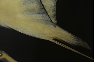 和風ビンテージ　輪島塗り　漆絵　迫力のある鶴の絵柄が目を惹く折り畳み衝立(衝立て、つい立て、衝い立て、パーテーション、仕切り、ヴィンテージ)(定価約180万円)(R-080688)