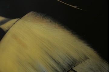 和風ビンテージ　輪島塗り　漆絵　迫力のある鶴の絵柄が目を惹く折り畳み衝立(衝立て、つい立て、衝い立て、パーテーション、仕切り、ヴィンテージ)(定価約180万円)(R-080688)