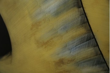 和風ビンテージ　輪島塗り　漆絵　迫力のある鶴の絵柄が目を惹く折り畳み衝立(衝立て、つい立て、衝い立て、パーテーション、仕切り、ヴィンテージ)(定価約180万円)(R-080688)