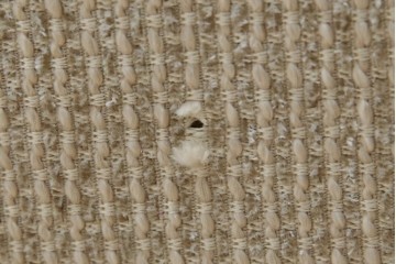 中古　フランス輸入家具　ファブリック　お部屋に取り入れやすいナチュラルモダンデザインのクラブソファ　定価約25万円　(R-080783)